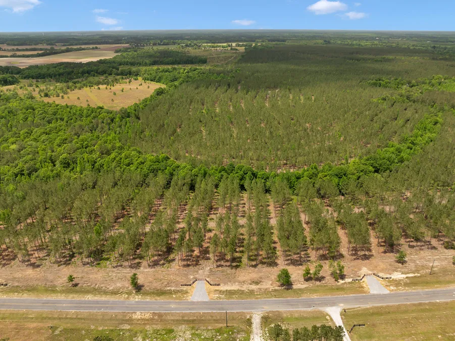 06 DJI 20240430135549 0063 D