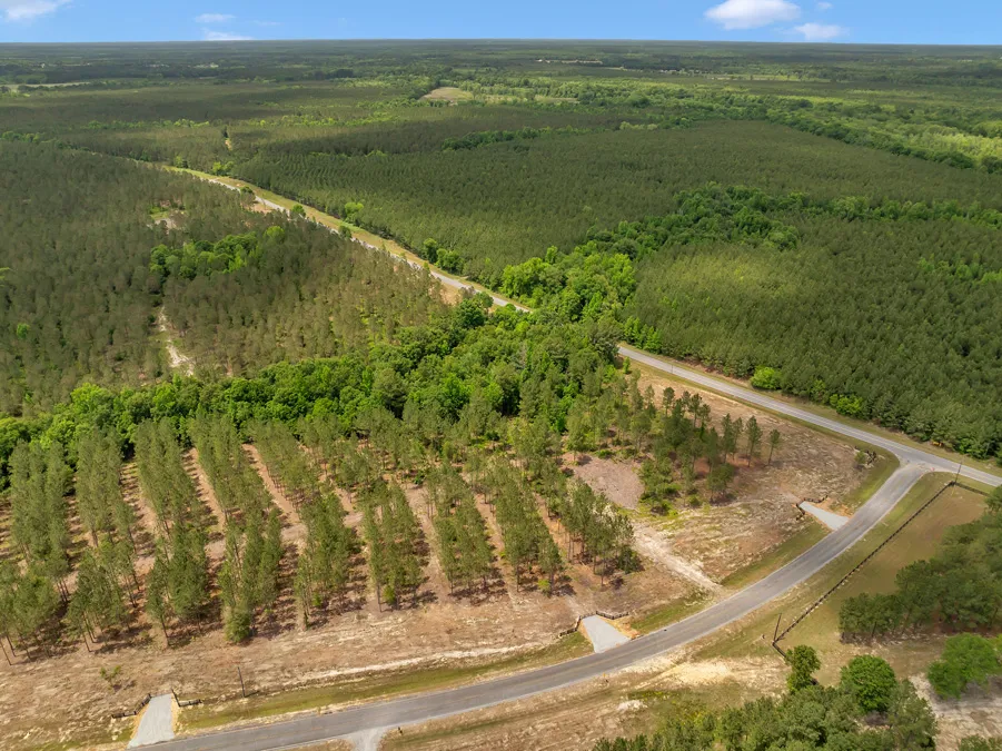 17 DJI 20240430135745 0095 D