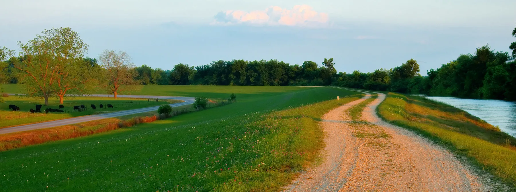 Rural dirt road through meadow