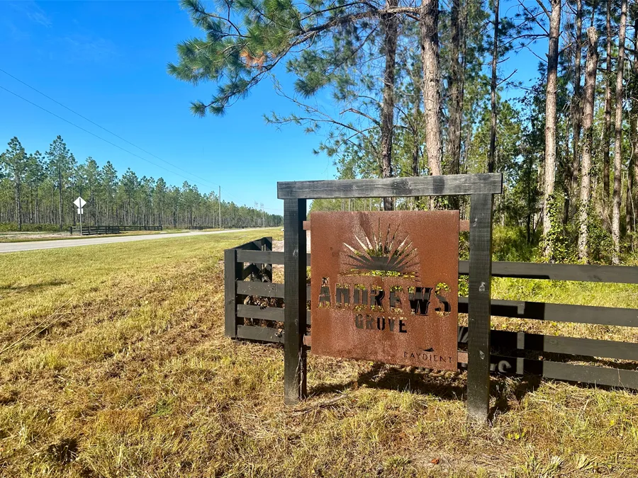 Andrews Grove Featured Alt