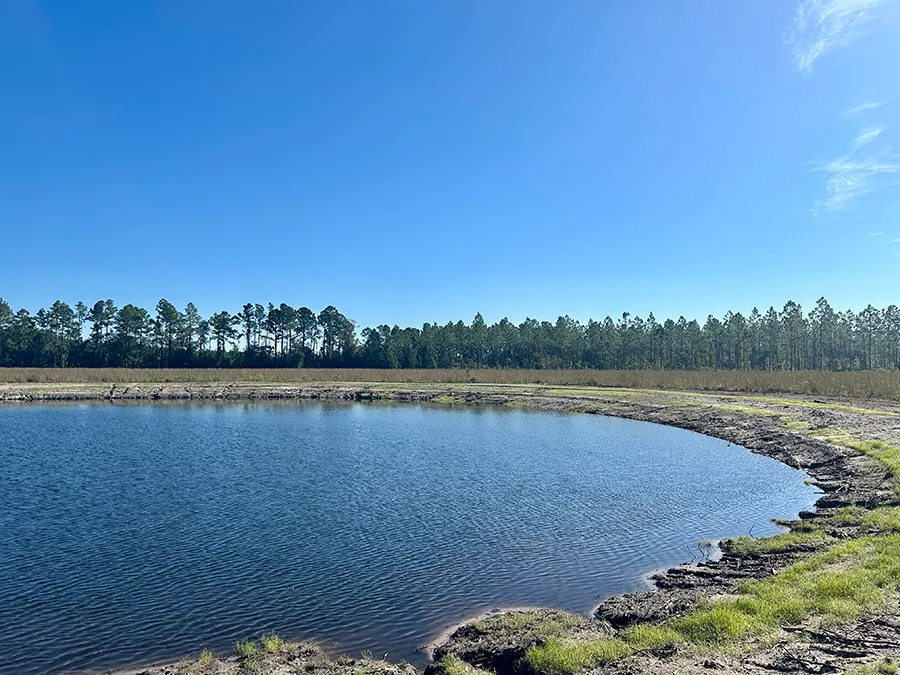 Andrews Grove Pond 2