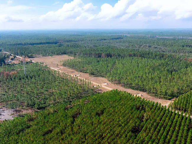 Bay Farms Featured 4