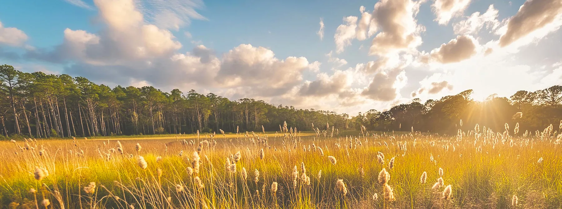 Bradford County FL Hero