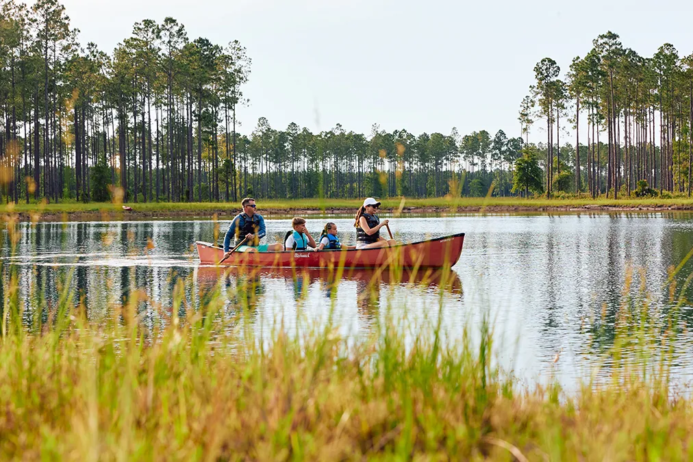 Brandy Branch Family Canoe