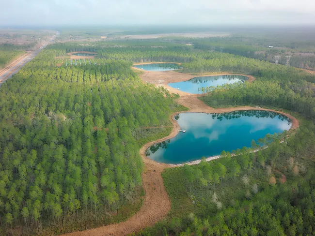 Brandy Branch Gallery Aerial All Ponds