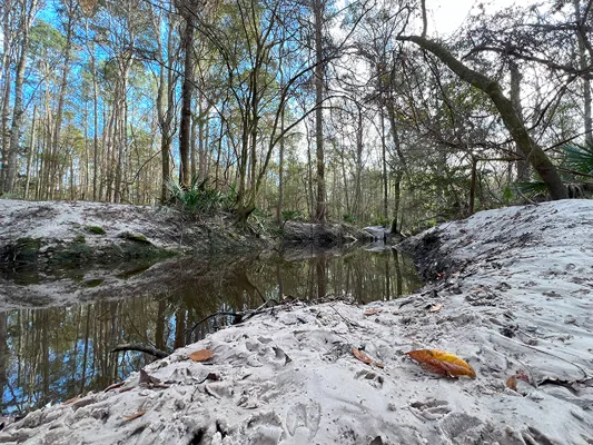 Brandy Branch Lot 2 Creek Deer Tracks