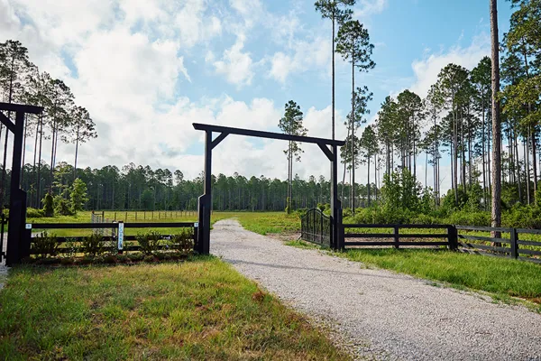 Brandy Branch Lot 2 Gate