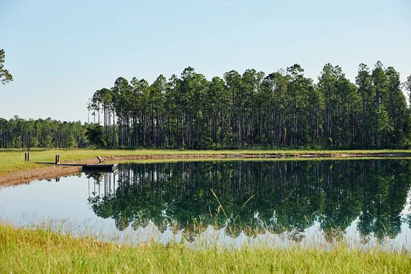 Brandy Branch Lot 3 Pond 2