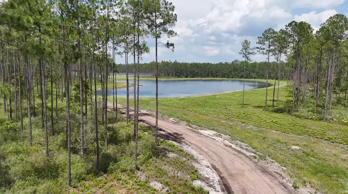 Brandy Branch Lot 5 Entrance Pond