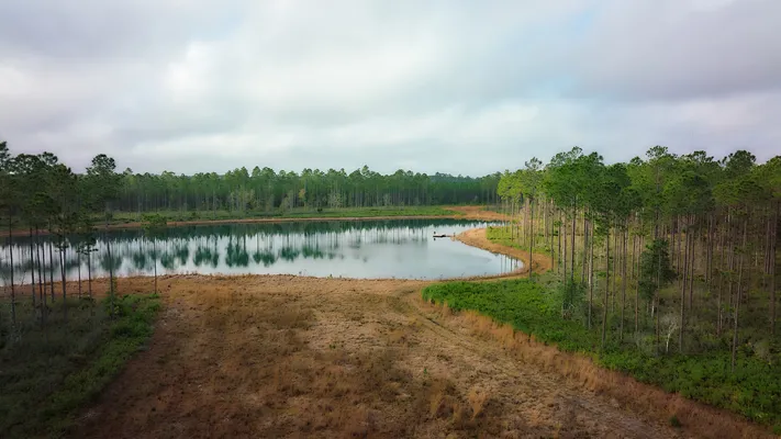 Brandy Branch Lot 5 Pond 2