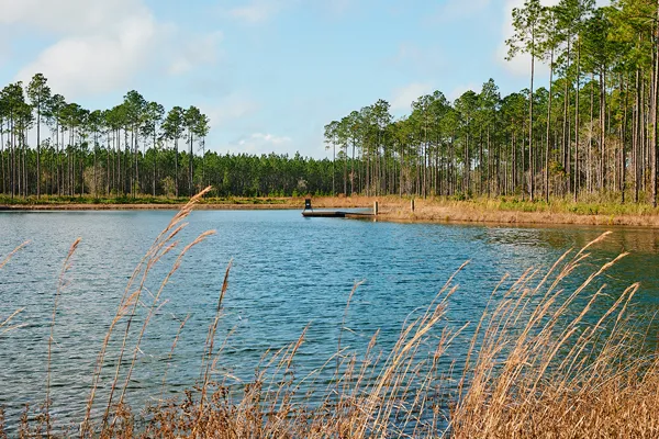 Brandy Branch Lot 5 Pond Dock