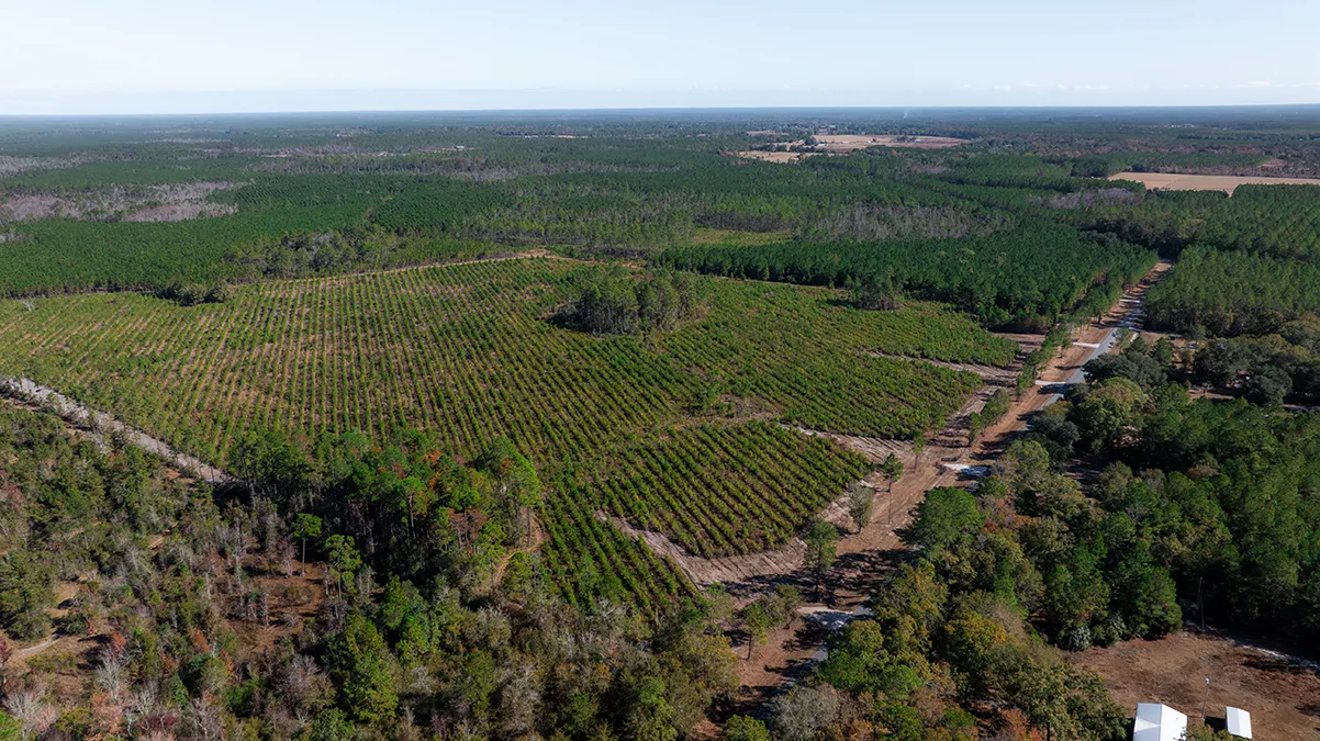 Cedarhill Aerial 1 6