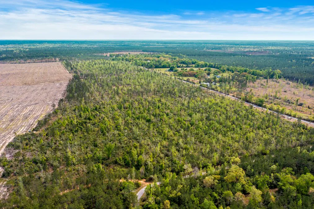 Evergreen Trace Aerial 6