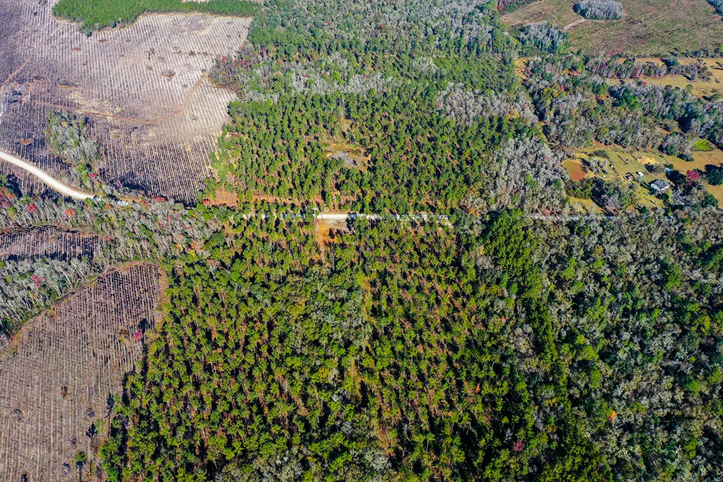 Falling Creek Aerial