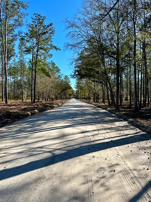 Falling Creek Dirt Road 1