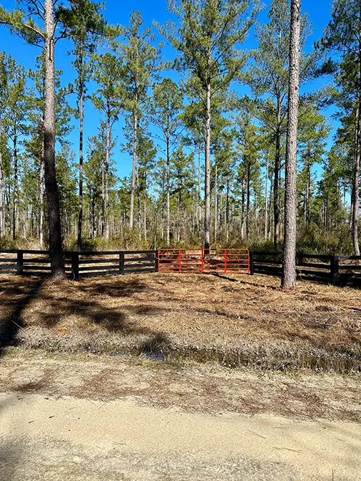 Falling Creek Gate Vertical