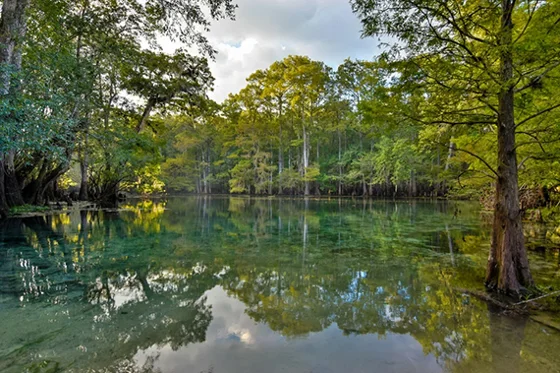 Florida City Lakecity