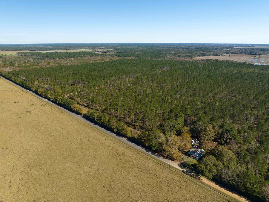 Gander Way Jeff Davis LA 10