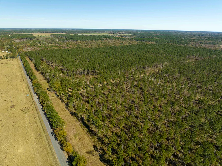 Gander Way Jeff Davis LA 12