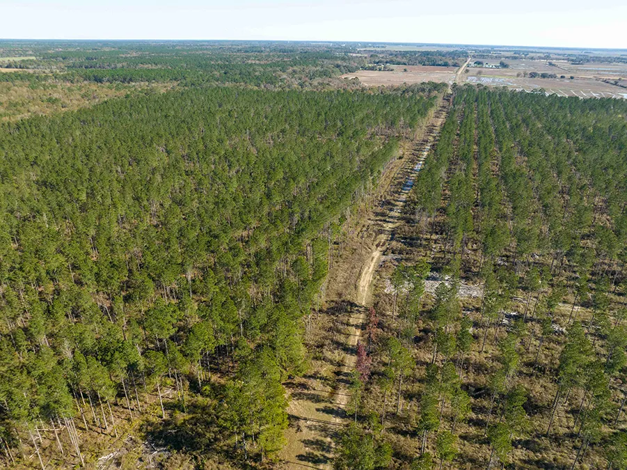 Gander Way Jeff Davis LA 13