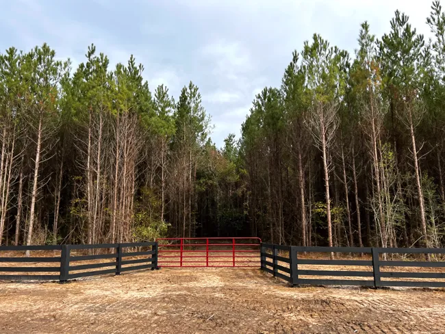 Gaylor Creek Featured Alt