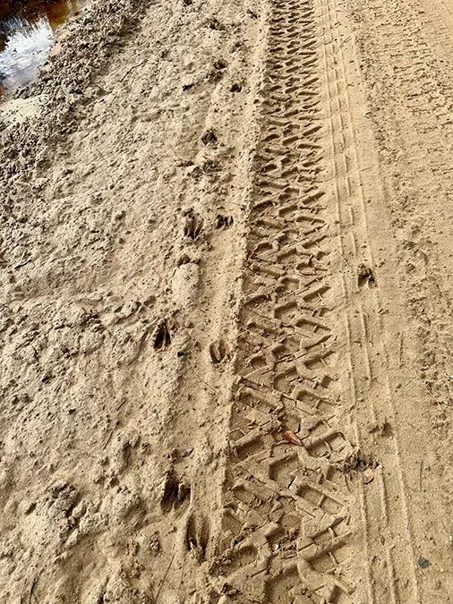 Lanes Creek Farms 7251