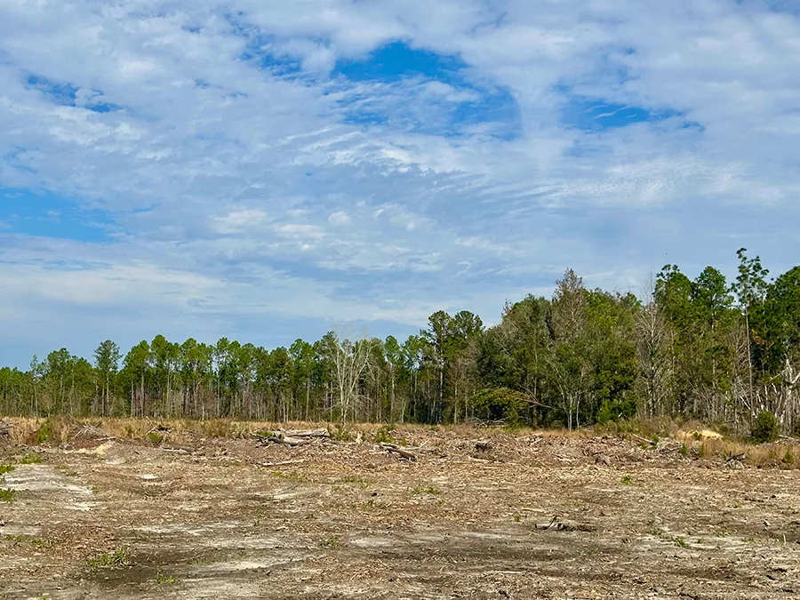 Lanes Creek Farms 7265