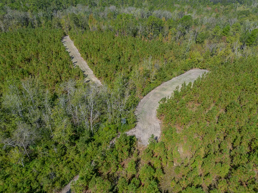 Little Alligator Creek 9