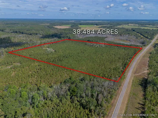 Little Alligator Creek Lot2 2