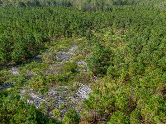 Little Alligator Creek Lot4 4