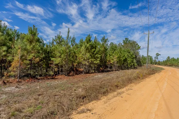 Little Alligator Creek Lot5 2