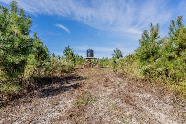 Little Alligator Creek Lot7 1