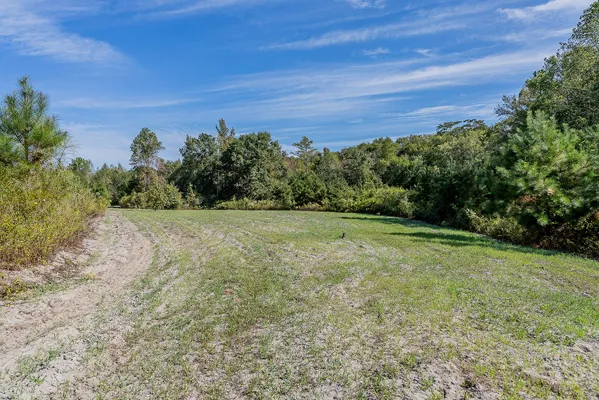 Little Alligator Creek Lot7 3