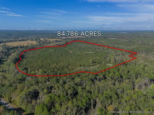 Little Alligator Creek Lot8 2