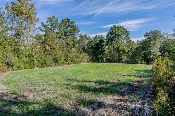 Little Alligator Creek Lot8 3