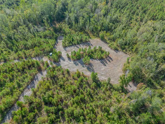 Little Alligator Creek Lot8 6