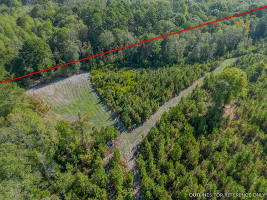 Little Alligator Creek Lot8 8