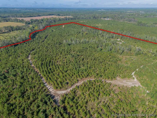 Little Alligator Creek Lot8 9