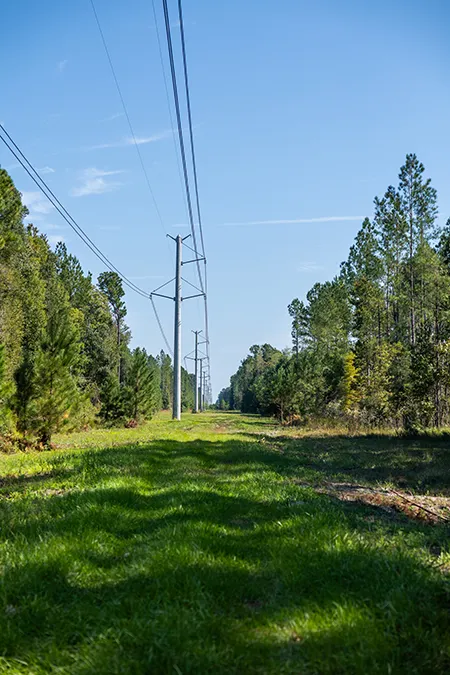 Sandy Oaks Electrical Vertical
