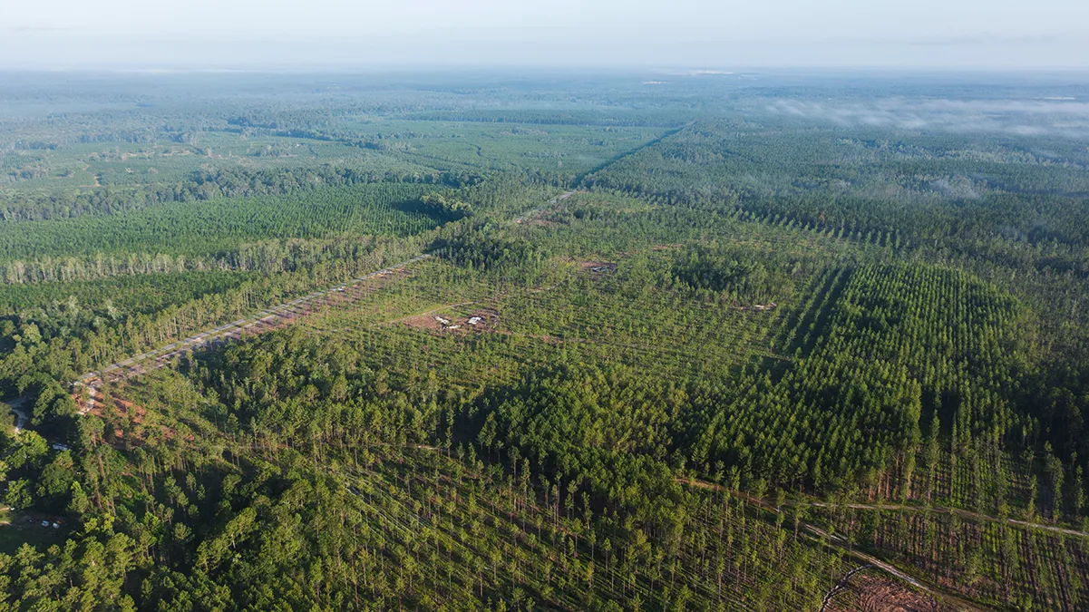 Stave Branch Aerial 1