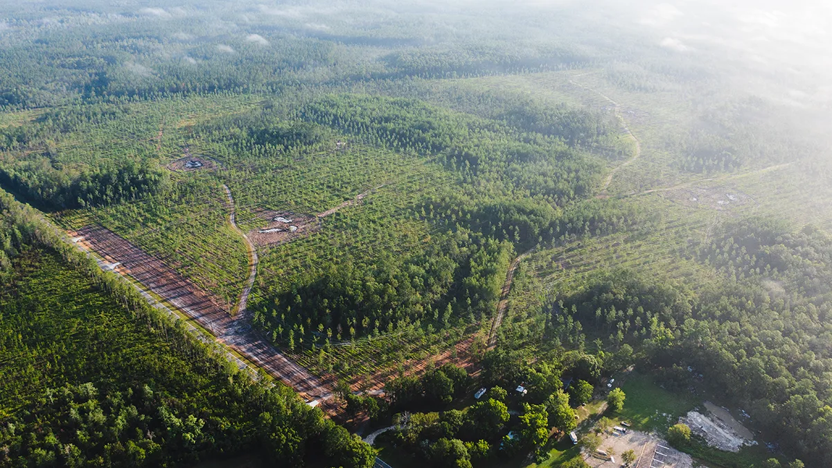 Stave Branch Aerial 2