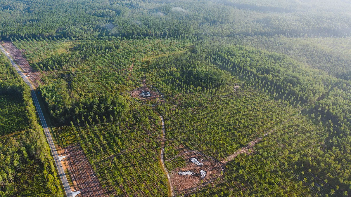 Stave Branch Aerial 3