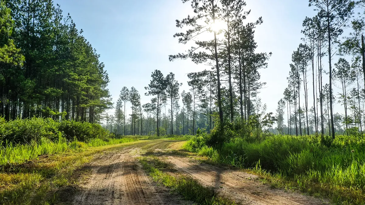 Stave Branch Property 3