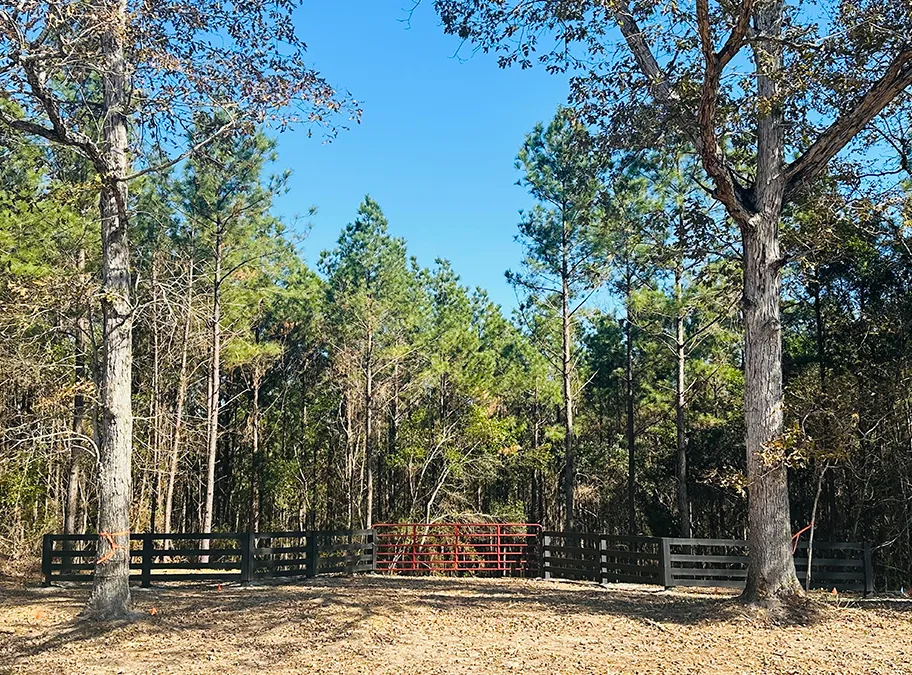 Sugar Hill Black Fence Sized