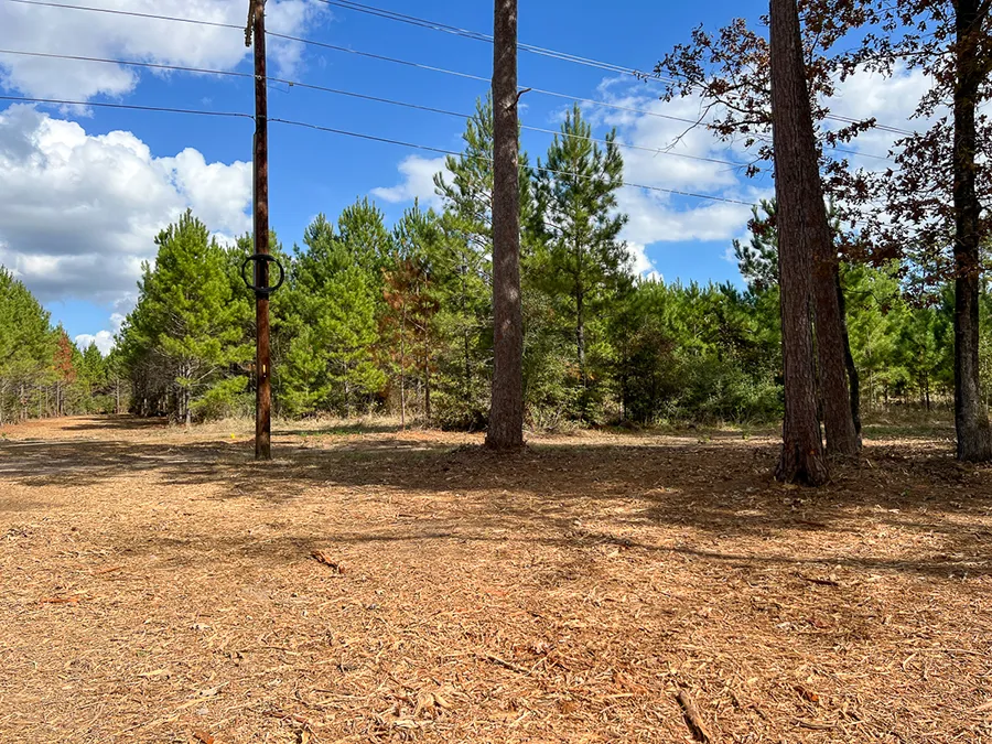 Walker Preserve Cleared Entrance