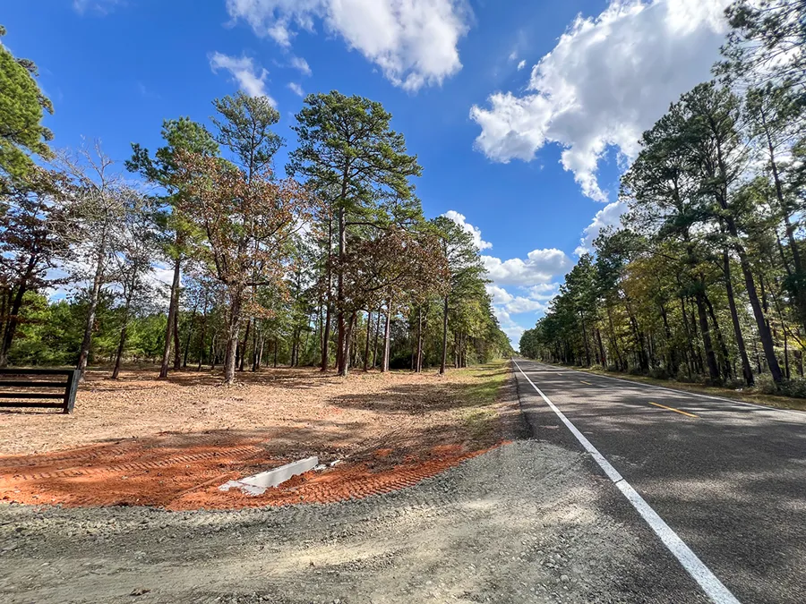 Walker Preserve Road Left